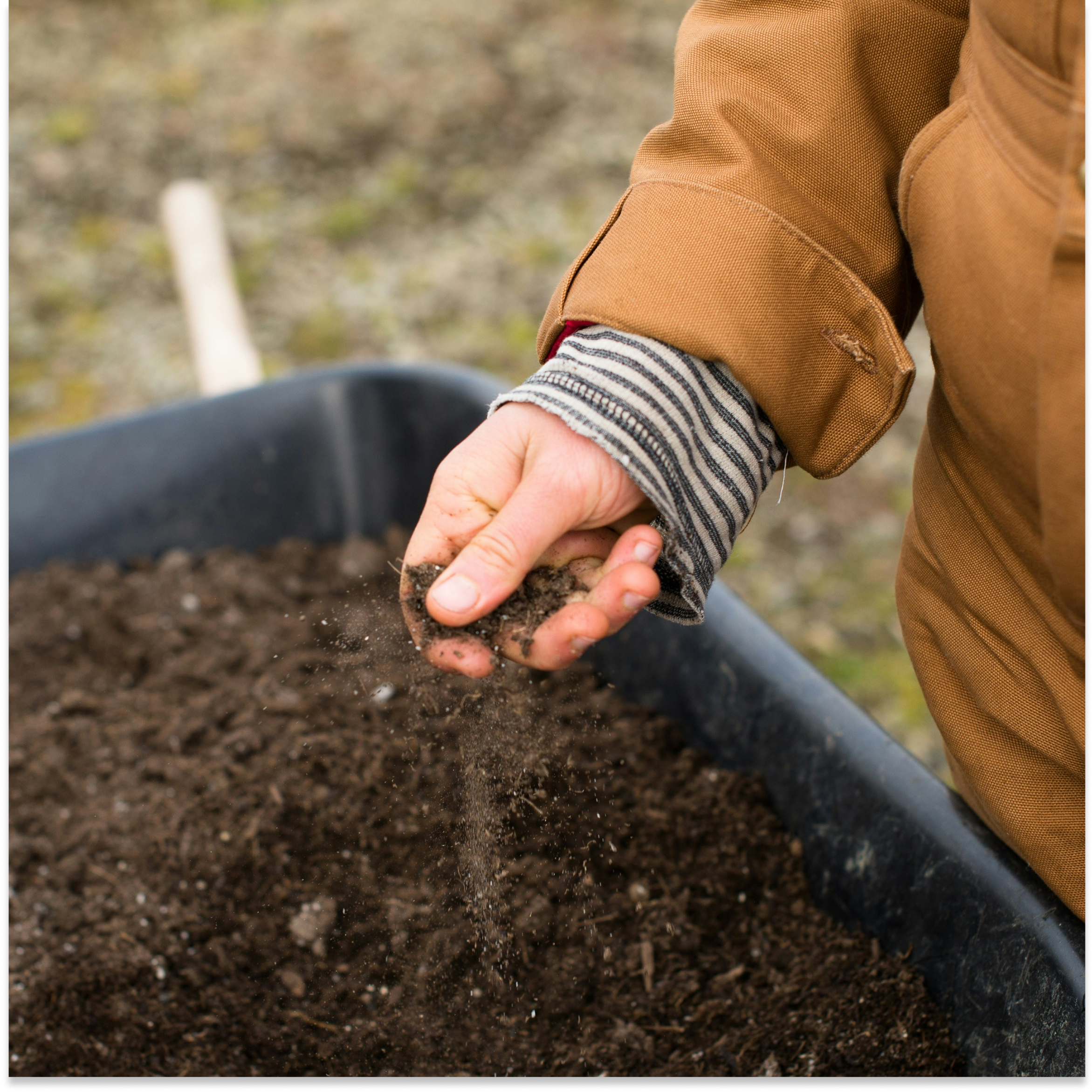 PT Anugrah Soiltes Semesta